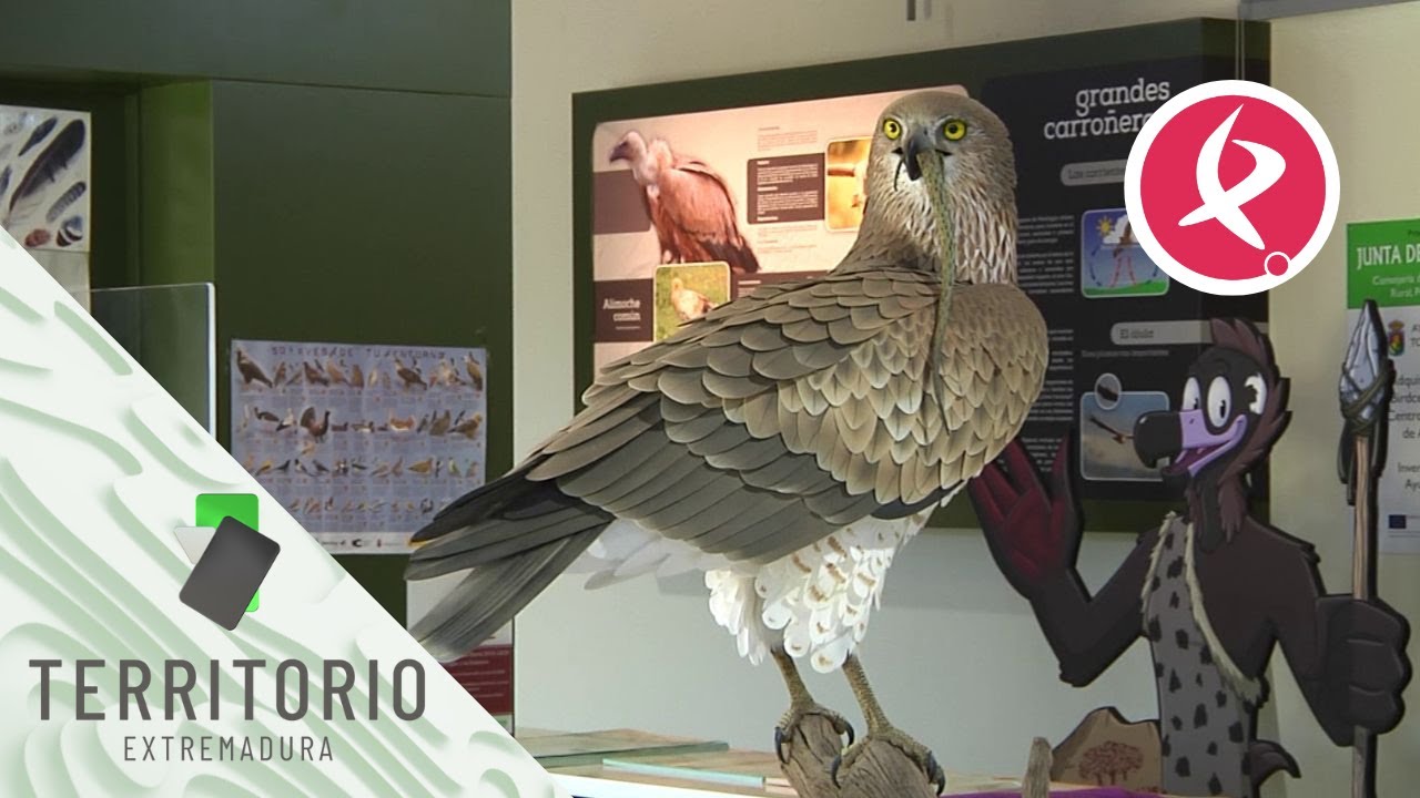Monfragüe, un paraíso para las aves | Territorio Extremadura