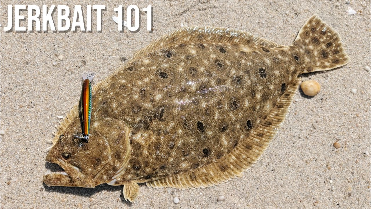 How to Catch Fluke on Jerkbaits - Flounder Fishing with Hardbaits, Explained!