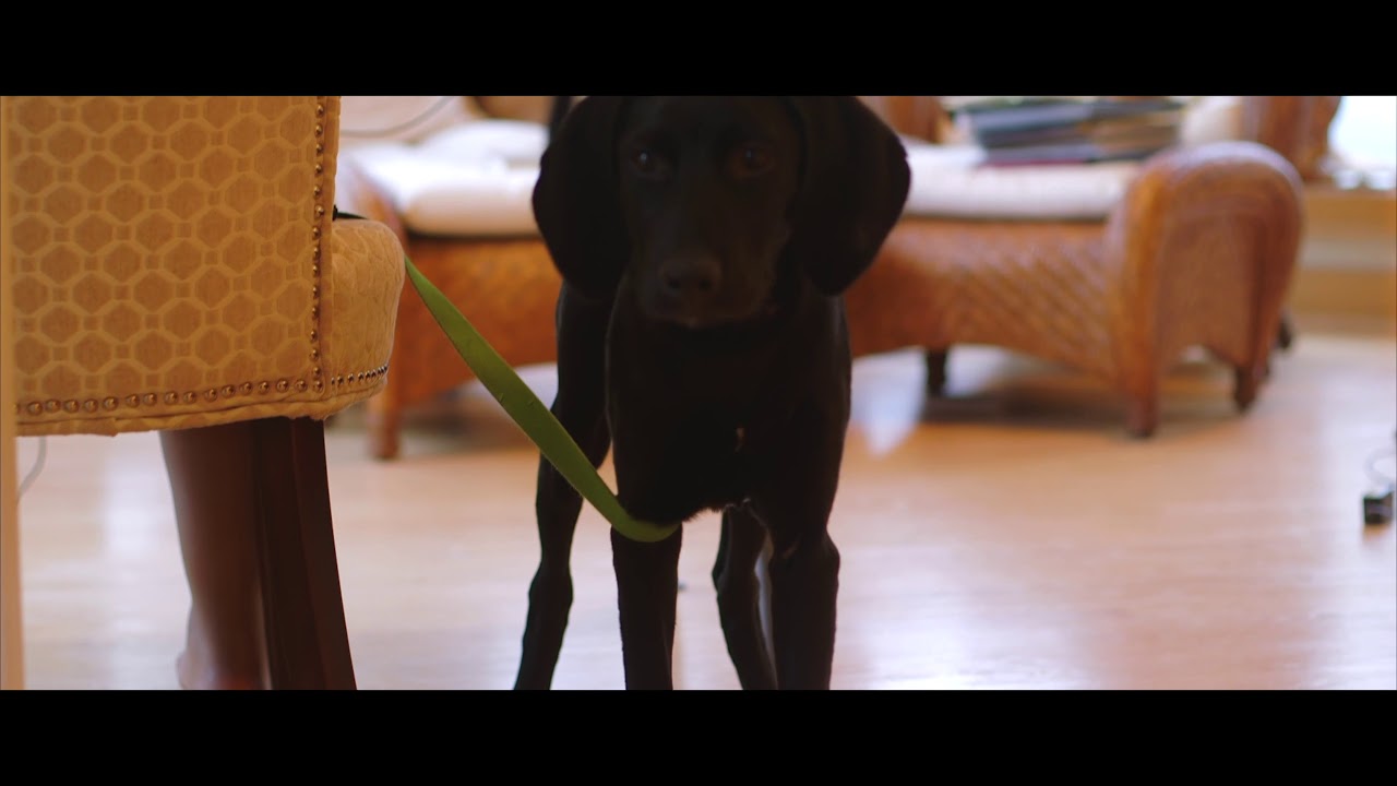 Canon C100 in 2020 - Still a favorite