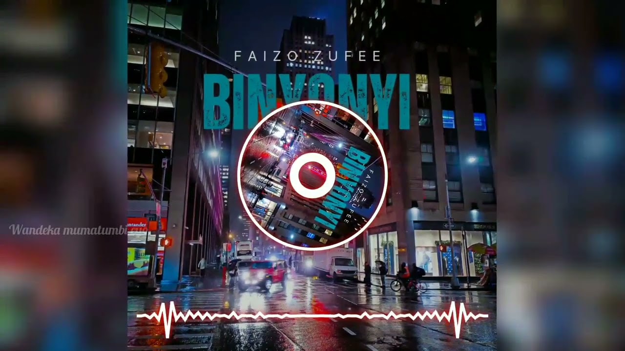 BINYONYI BY FAIZO ZUFEE