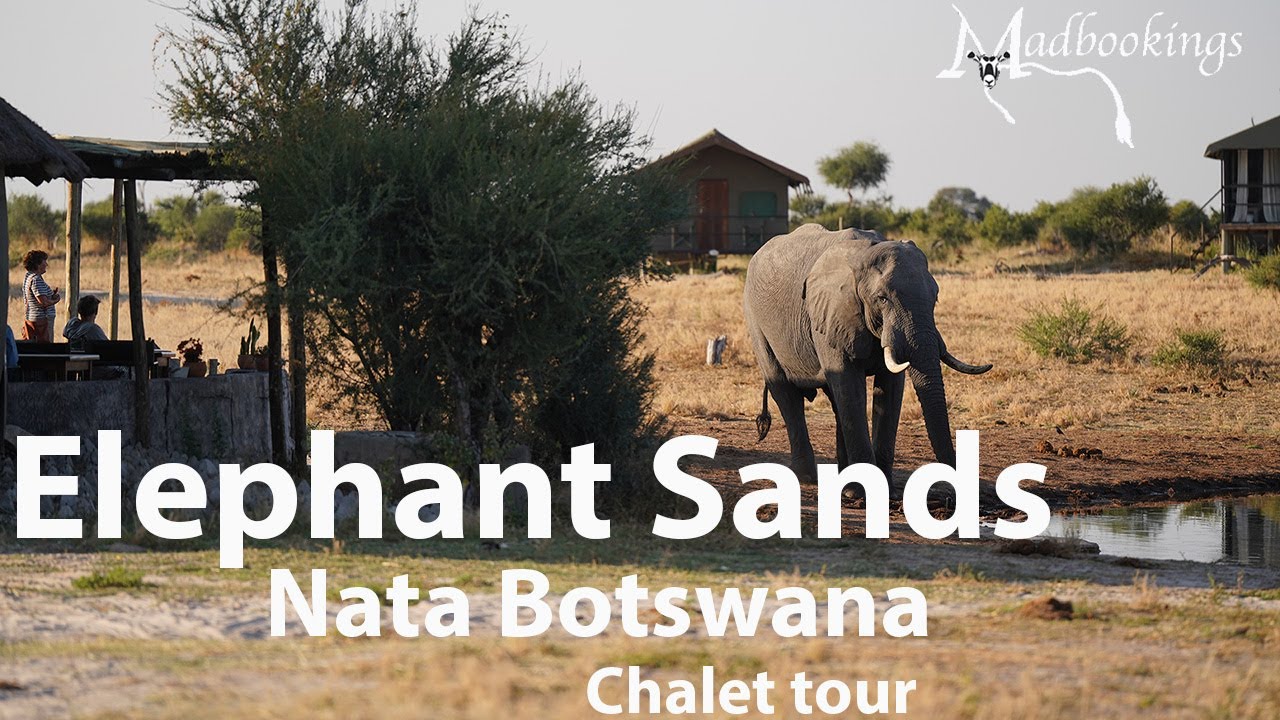Elephant Sands Botswana Chalet tour 2025