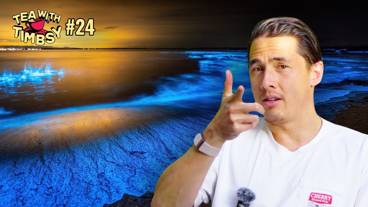 I Turn Bioluminescent in Mexico & Admit Pastel De Nata's are the GOAT Snack | TEA WITH TIMBSY #24