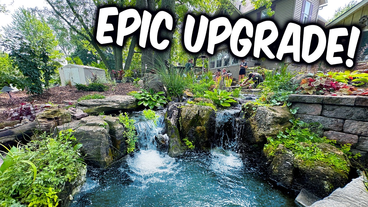 125 Year Home with Wild Backyard Upgrade!
