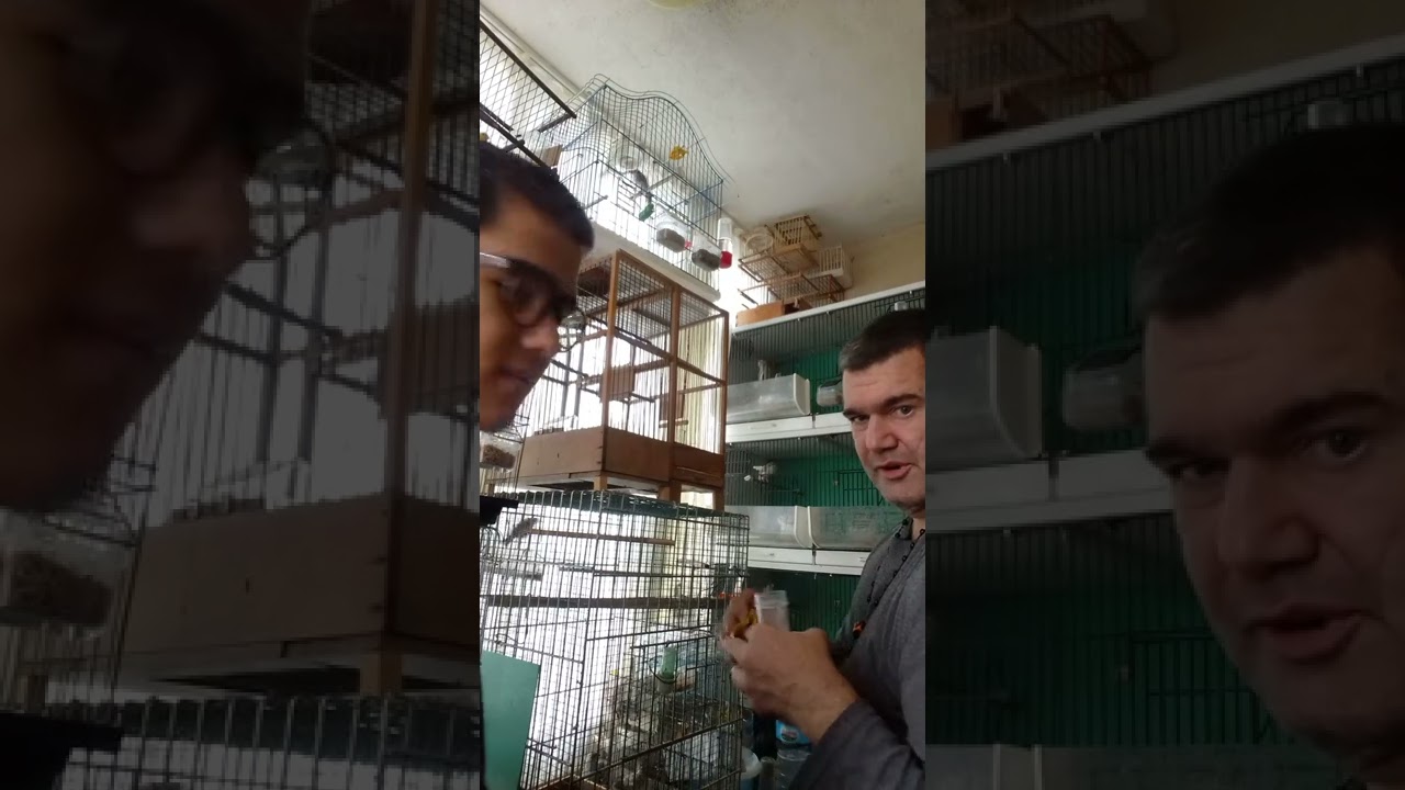 kuşlarımıza baycox uygulaması
