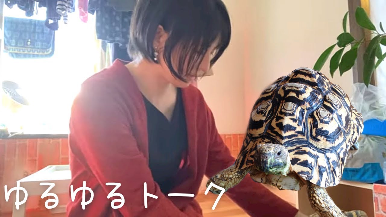 いさなチャンネル、初ライブ