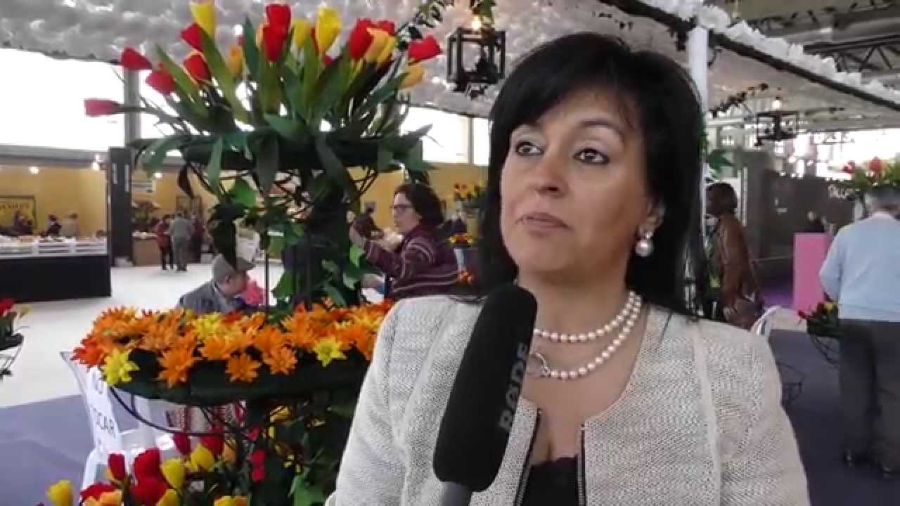 Flores de Papel de Campo Maior Encantam Badajoz
