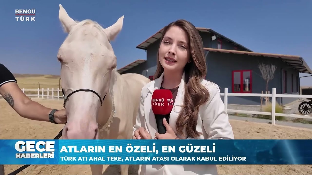 AHAL TEKE ANKARA’DA