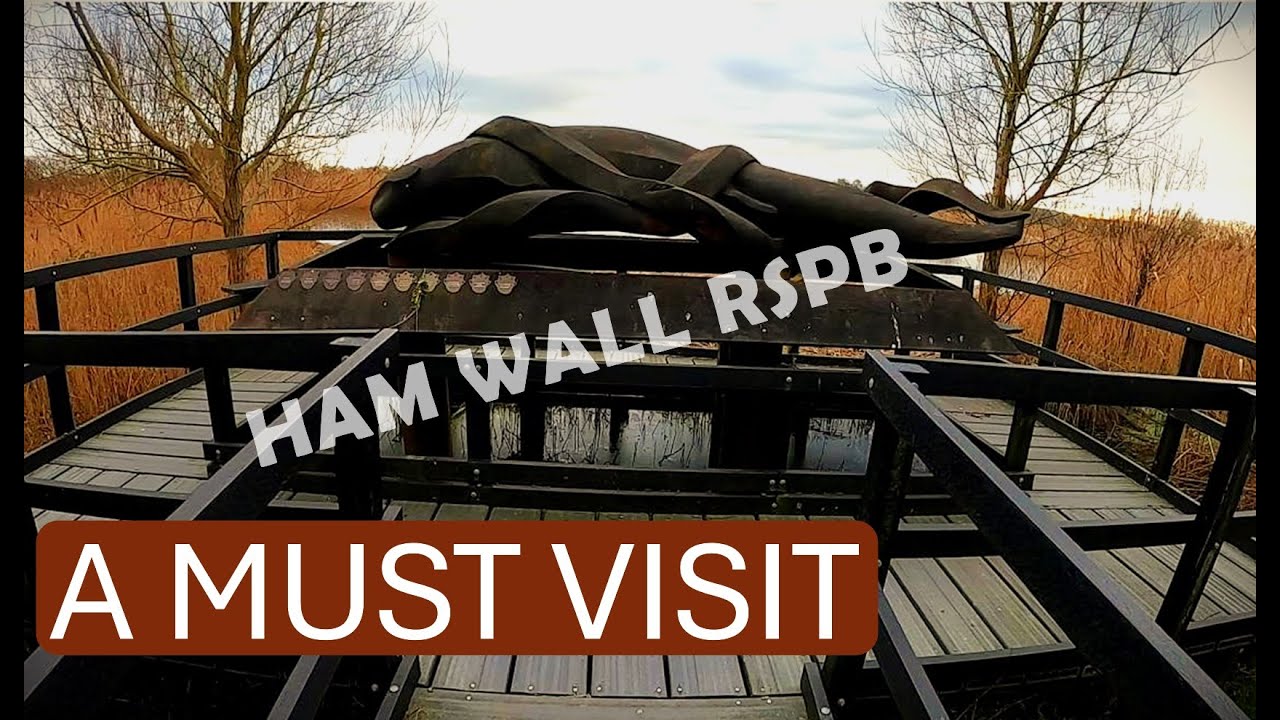 Somerset Levels and RSPB Ham Wall