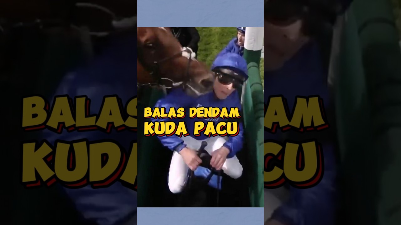 Balas dendam Kuda karena Jokinya terluka!!