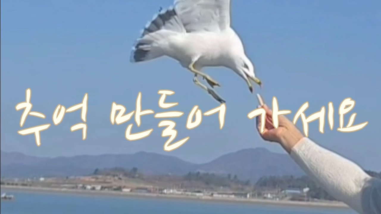 59 신나는  캠핑하루#노지캠핑#노지차박#캠핑장#캠핑카#카라반#캠핑음식#캠핑