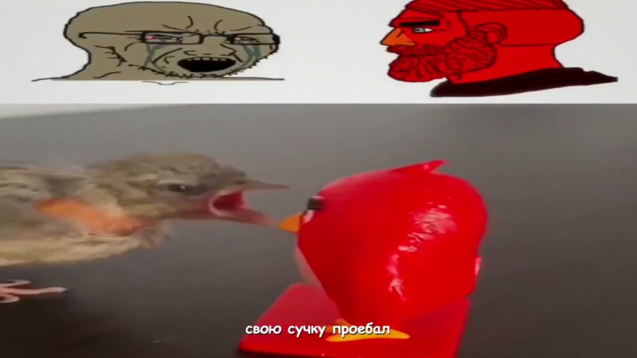 дисс на жюри (sbomba3131)