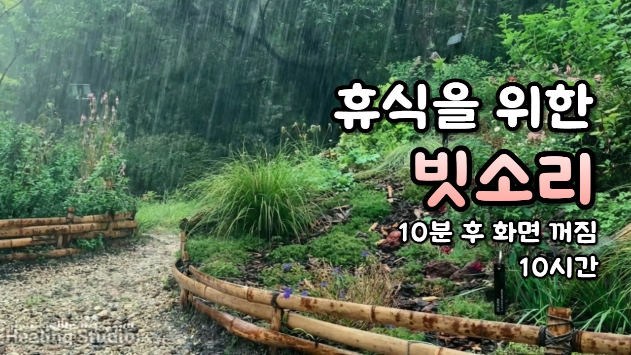 속 시원하게 쏟아지는 굵은 빗줄기