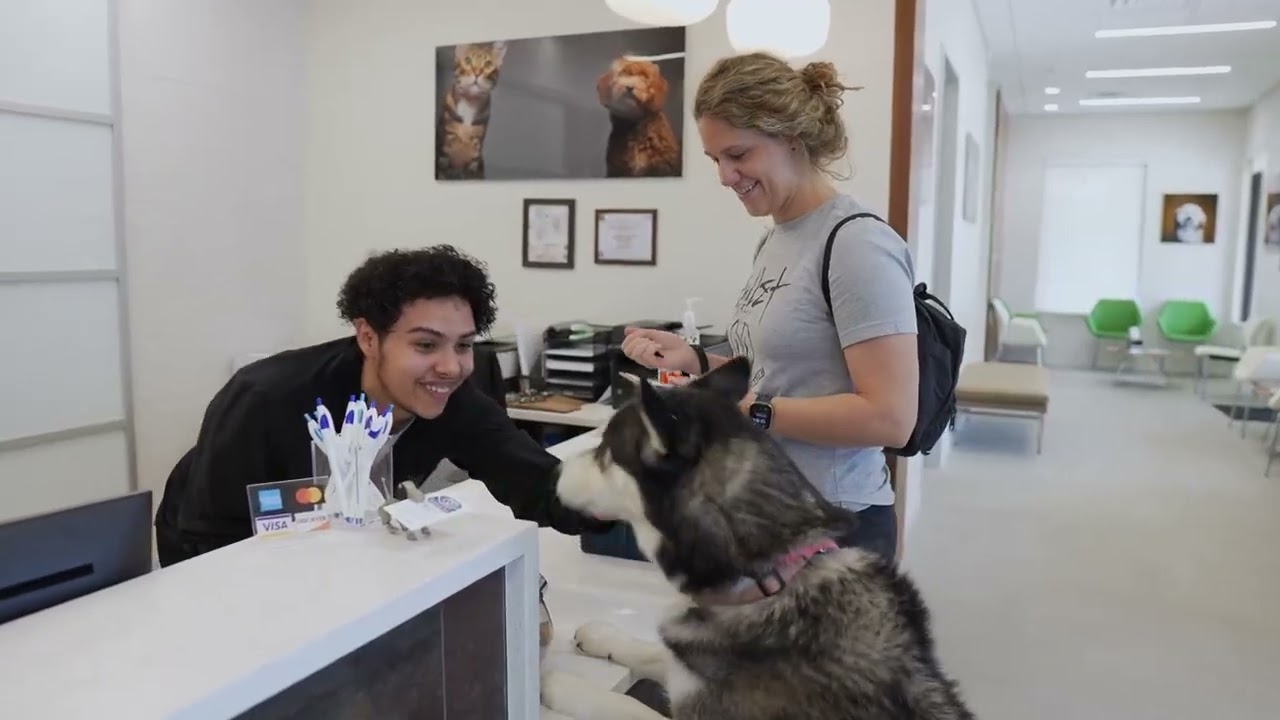 USF-invented technology is helping save sick family pets