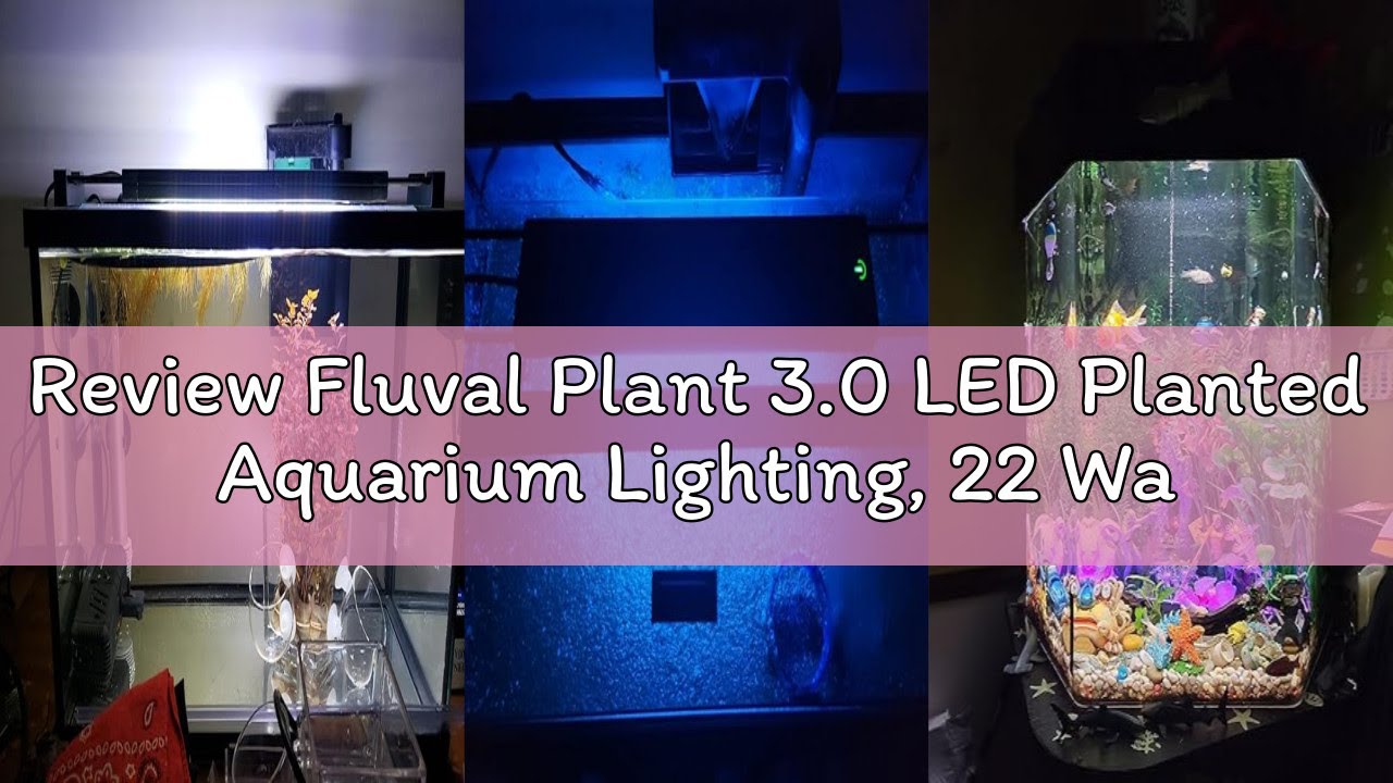 Review Fluval Plant 3.0 LED Planted Aquarium Lighting, 22 Watts, 15-24 Inches