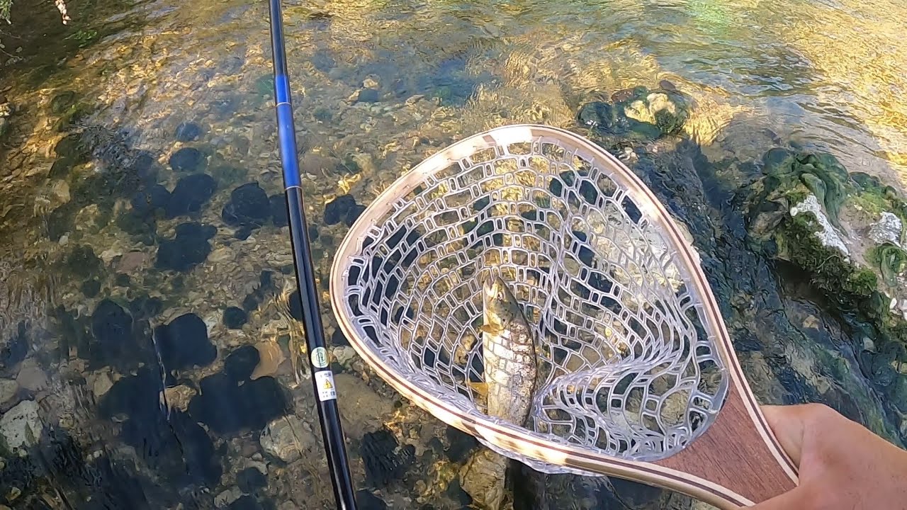 🏔🎣TENKARA SUL FIUME VELINO🐟🌈