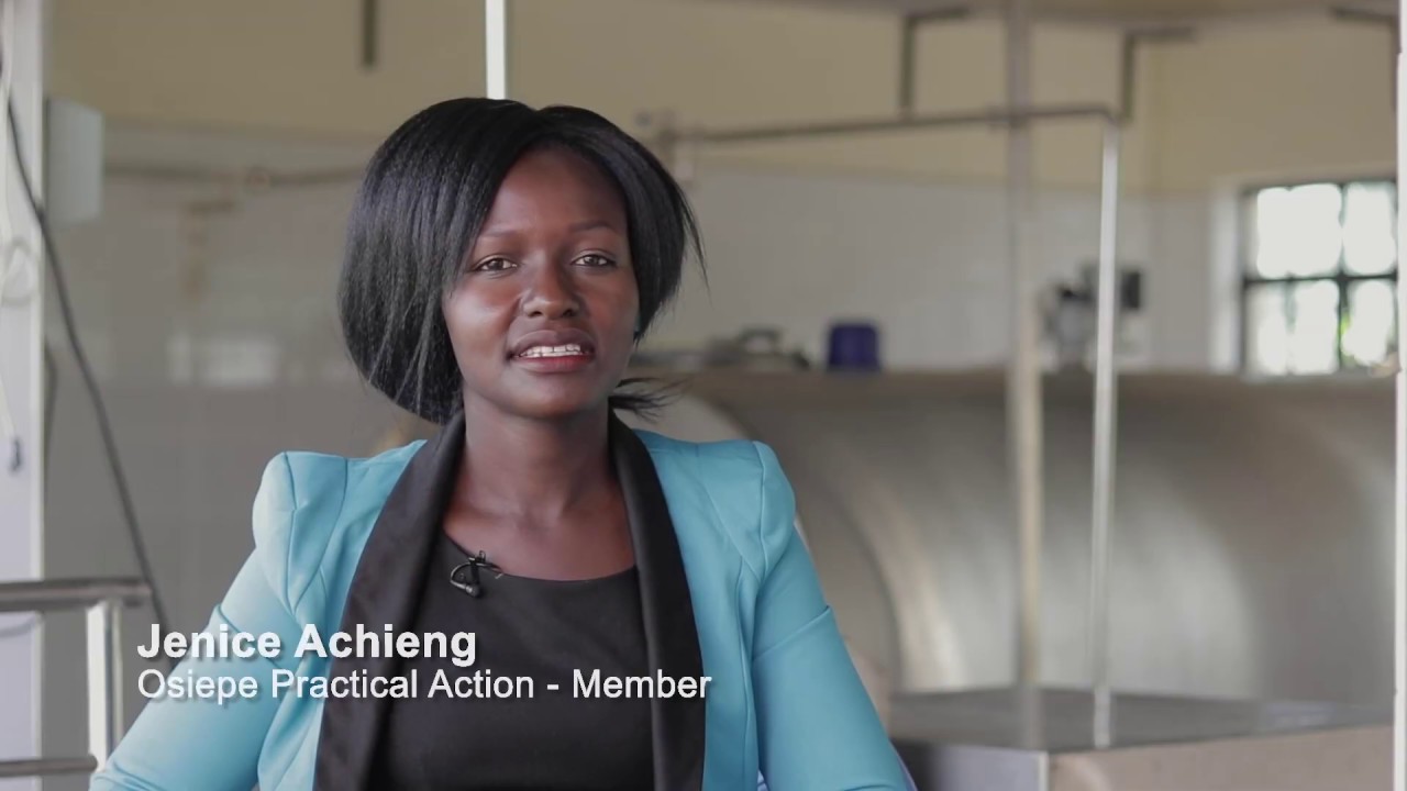 Growing grass: Lucrative opportunities in commercialization of feeds in western Kenya