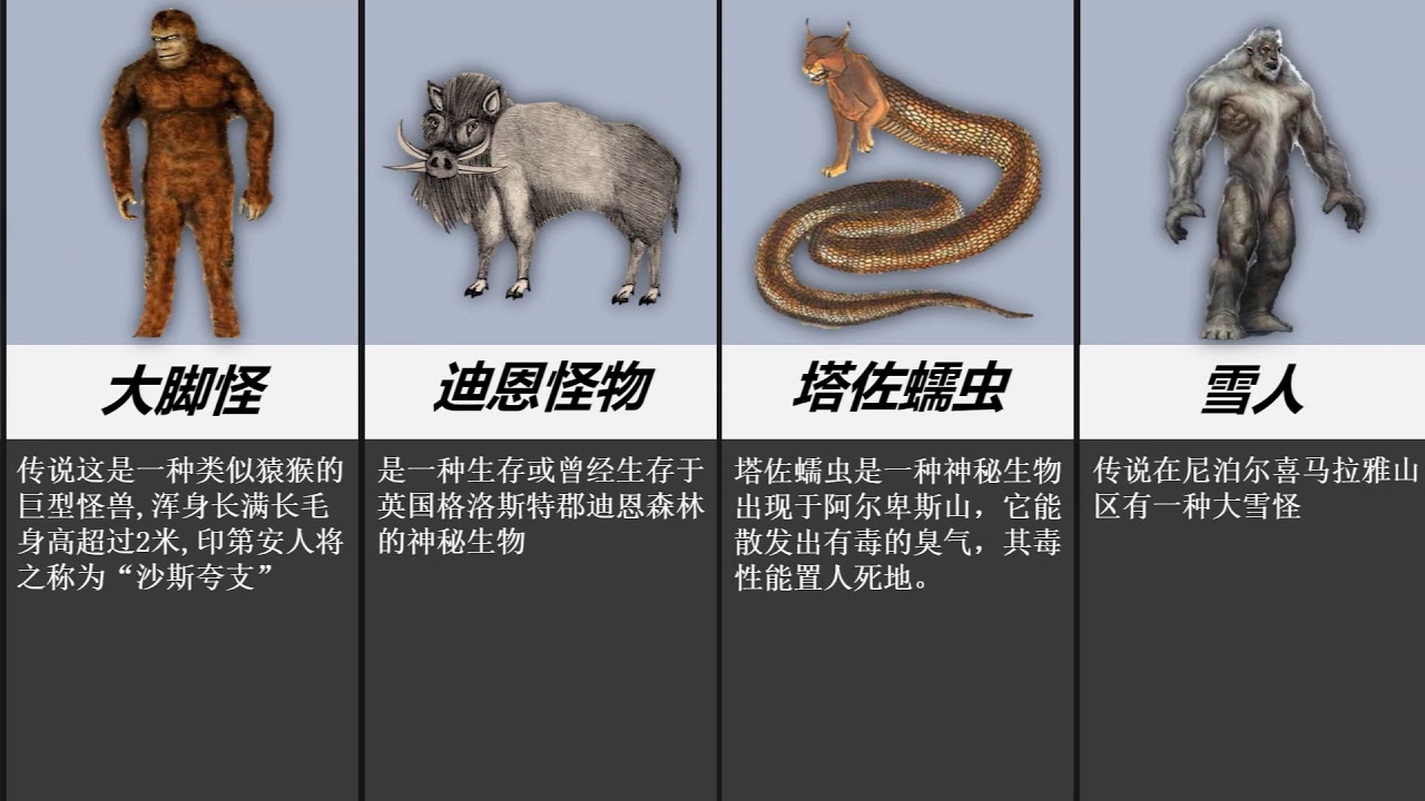 世界20大未知生物