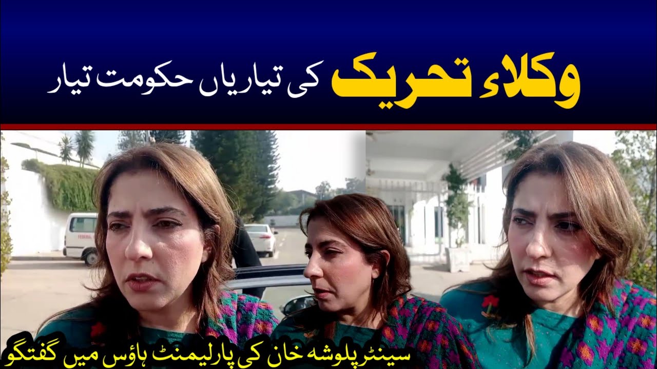 Major Announcement Expected? Senator Palwasha Khan Explosive Talk at Parliament House