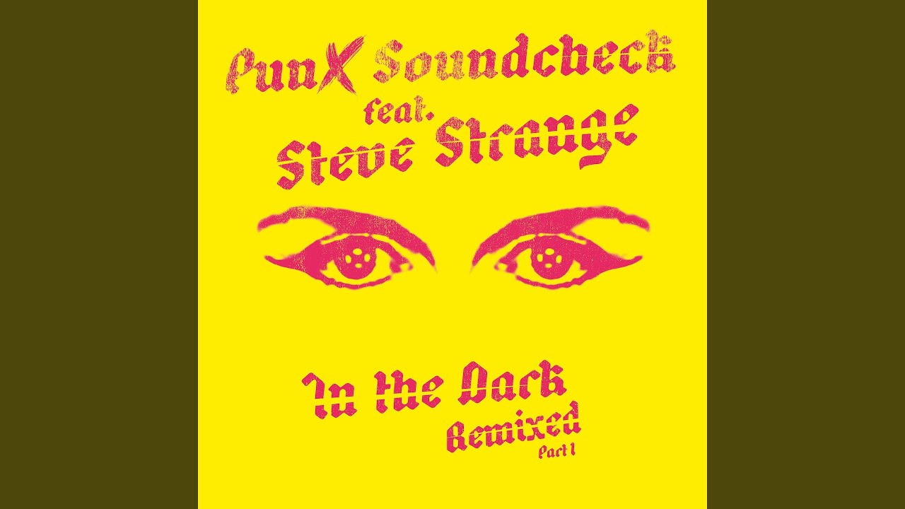 In The Dark (feat. Steve Strange) (Digitaria Remix)