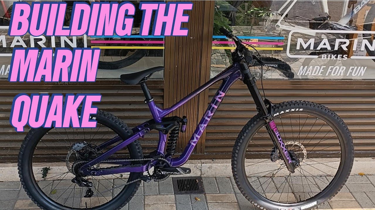Building the Marin Quake