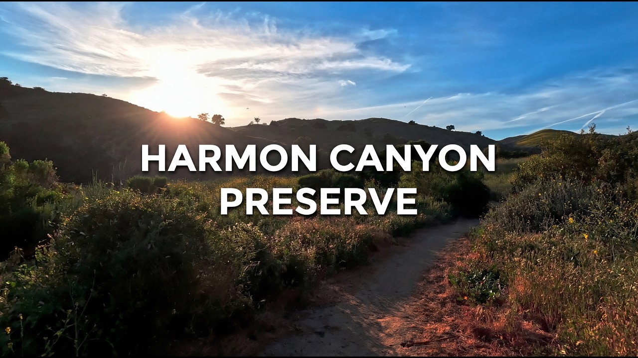Harmon Canyon Preserve | Short & Easy Nature Walk (POV)