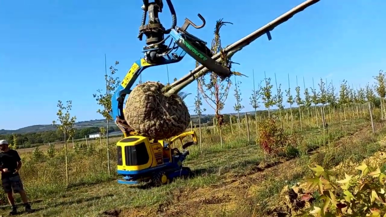Loading Trees with the MDE Clamp