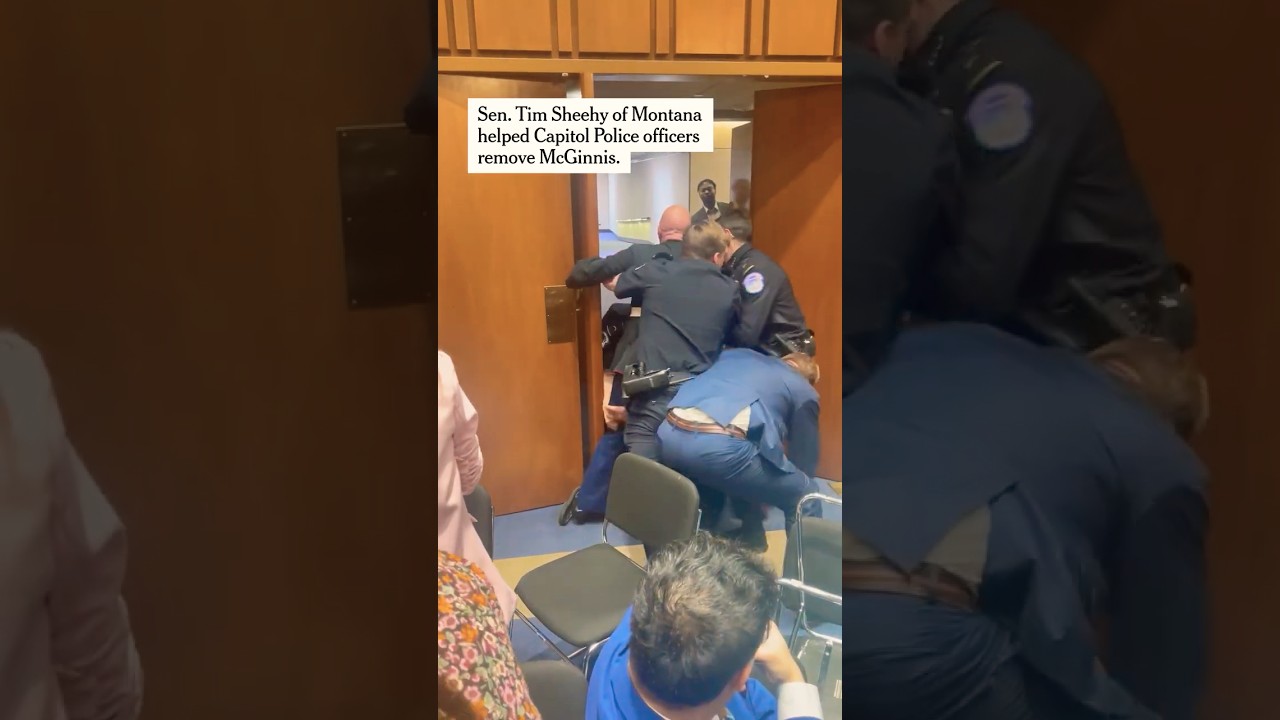 Protesting Veteran Forcibly Removed From Senate Hearing
