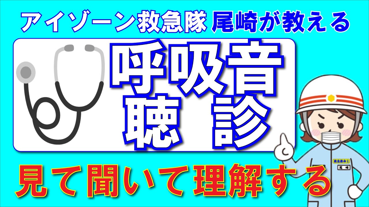 【テスト付き】聴診ができるようになる。覚えるべき呼吸音５つ！