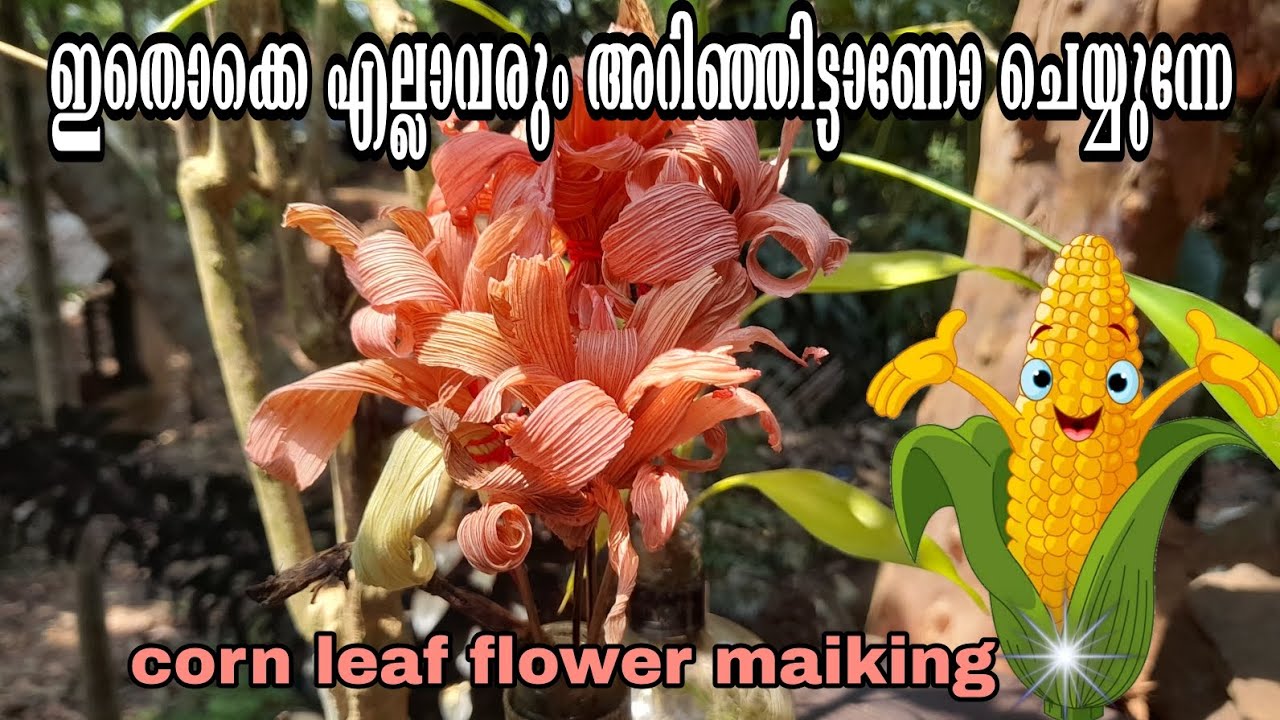 എല്ലാവരും അറിഞ്ഞിട്ടാണോ ചെയ്യുന്നേ ഇതൊക്കെ😁