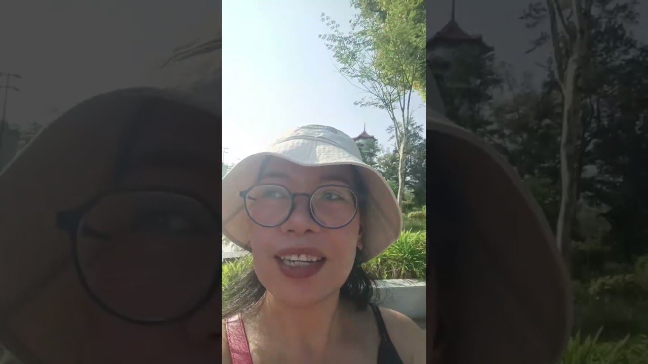 a walk to bonsai garden