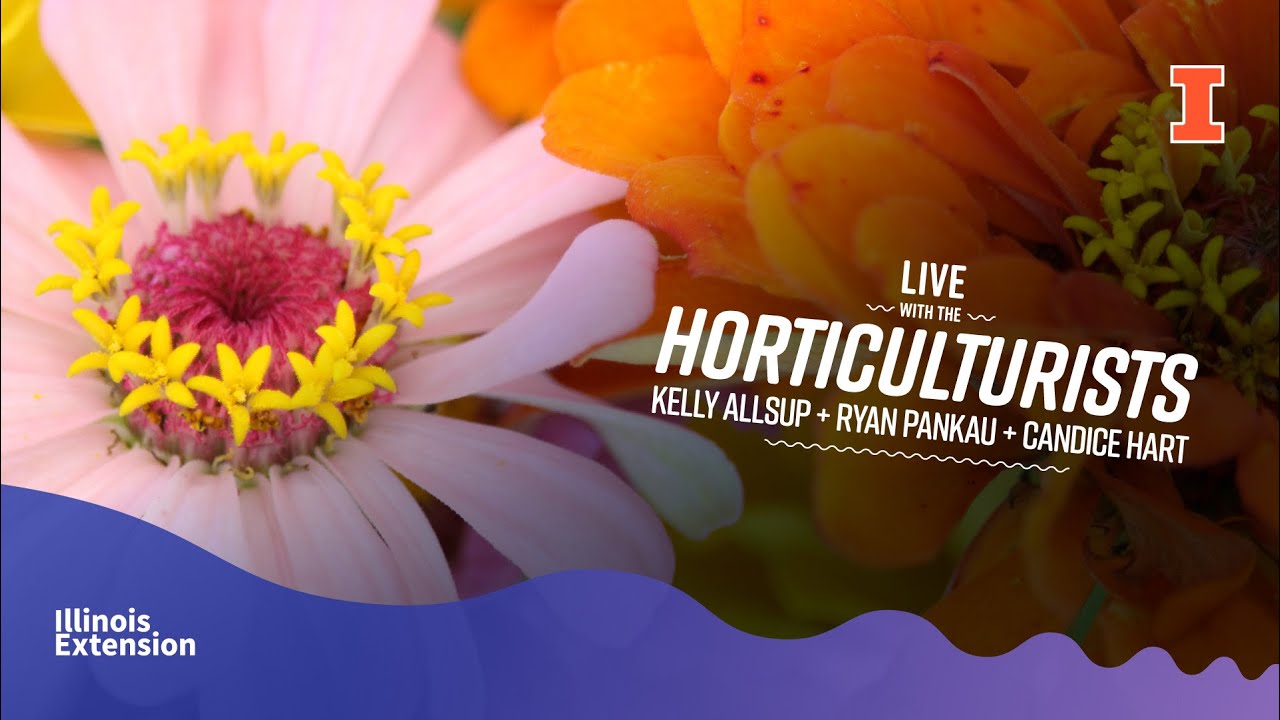 LIVE Q&A with the Horticulturists from Illinois Extension