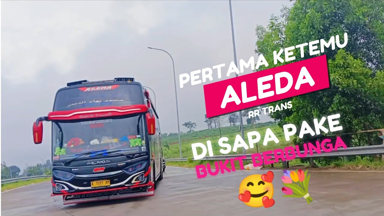 PERTAMA Ketemu ALEDA RR TRANS-BASURI BUKIT BERBUNGA-Hunting Bus Di Janspark #teloletbasuri #busmania