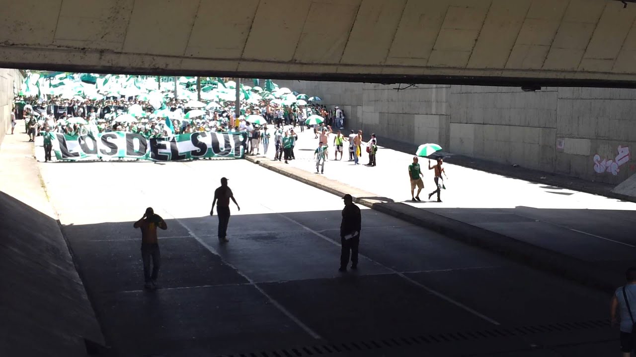 Séptimo día del hincha verdolaga - marcha 2