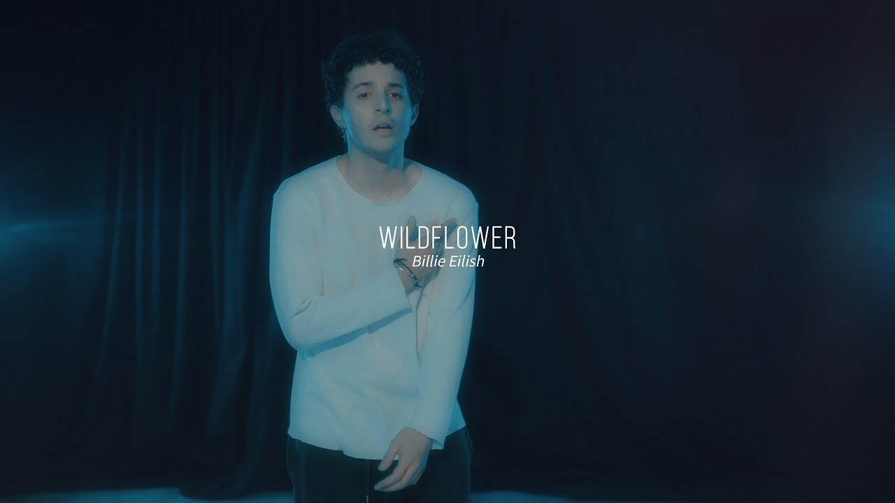 WILDFLOWER by Billie Eilish - DANCE VIDEO