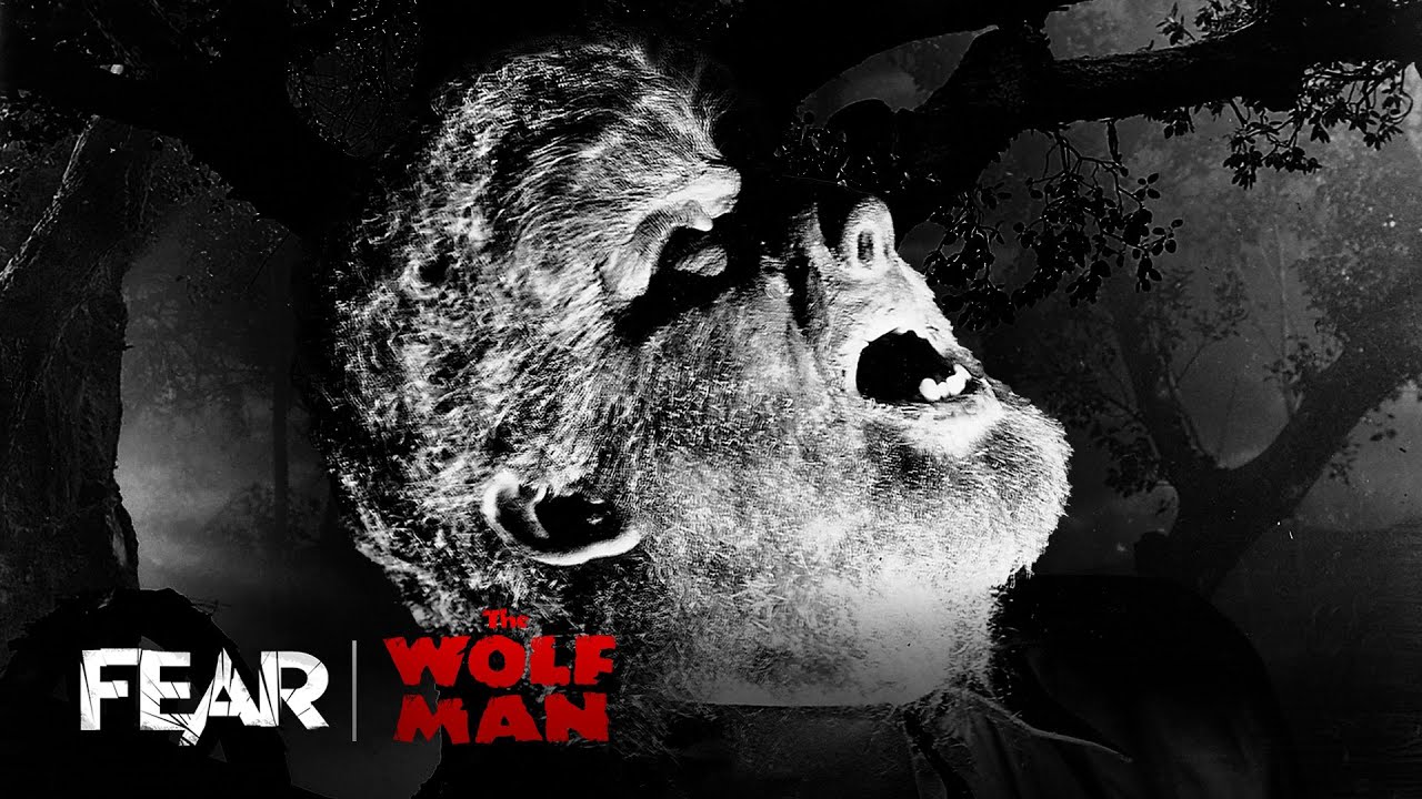 The wolf bit you, didn't he?