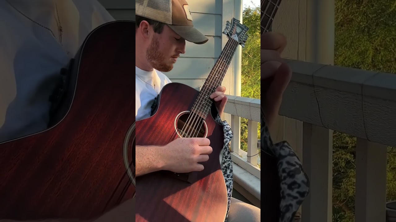 Amor Tumbado - Natanael Cano, Alejandro Fern&aacute;ndez (cover by Seth Cottengim) #regionalmexicano
