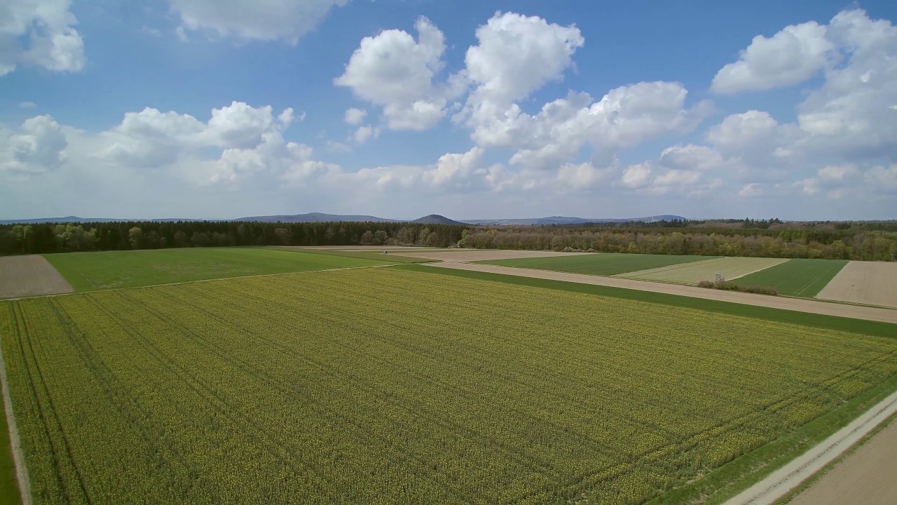Die Rapsbl&uuml;te im April