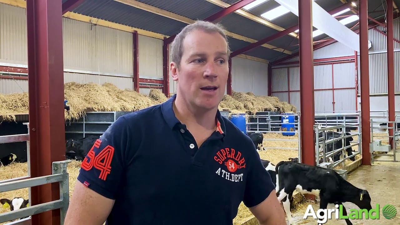 Buildings Focus: Going the extra mile to create an environment for calves to thrive in