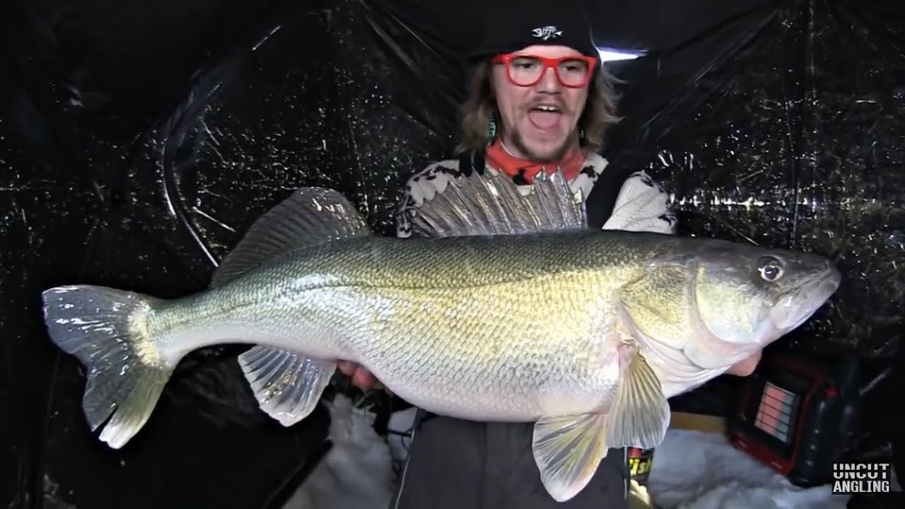 TOP 5 BIGGEST WALLEYES CAUGHT ICE FISHING (compilation)