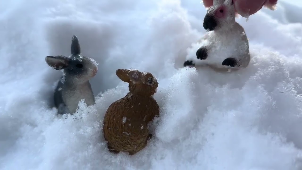 A Rabbit Story / Part 3