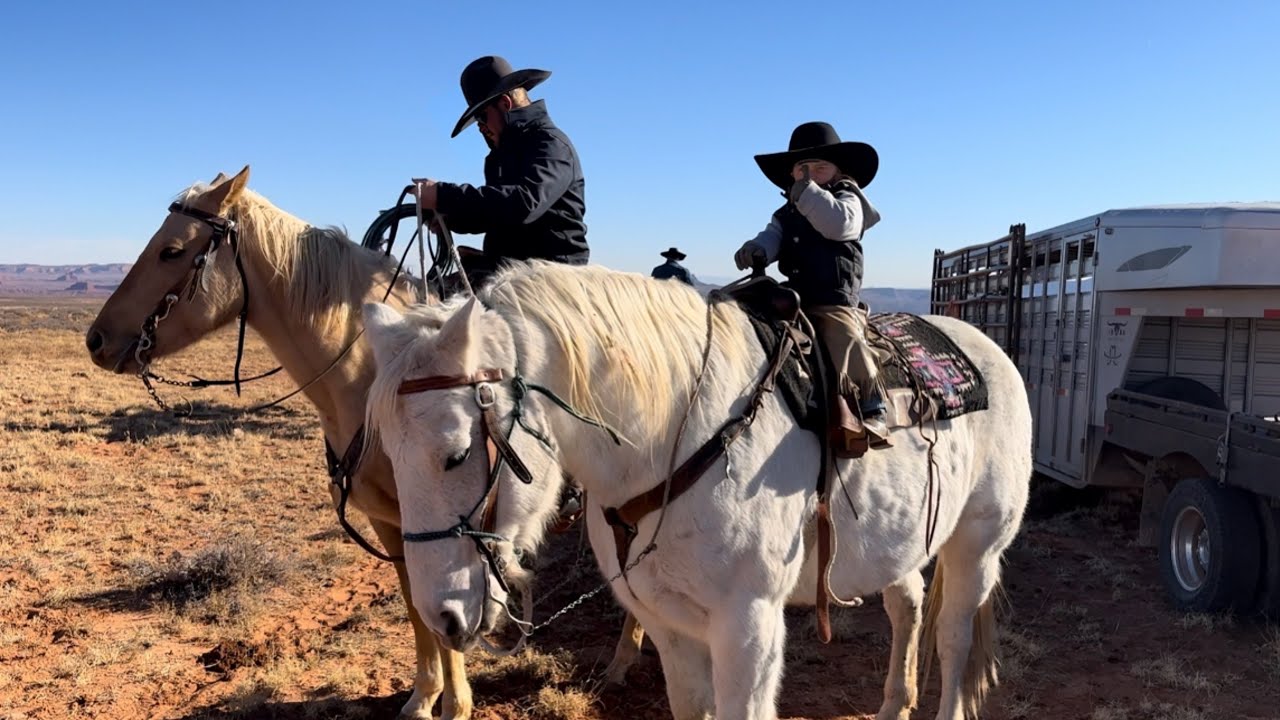 Bulls, Dogs , and Young Cowboys