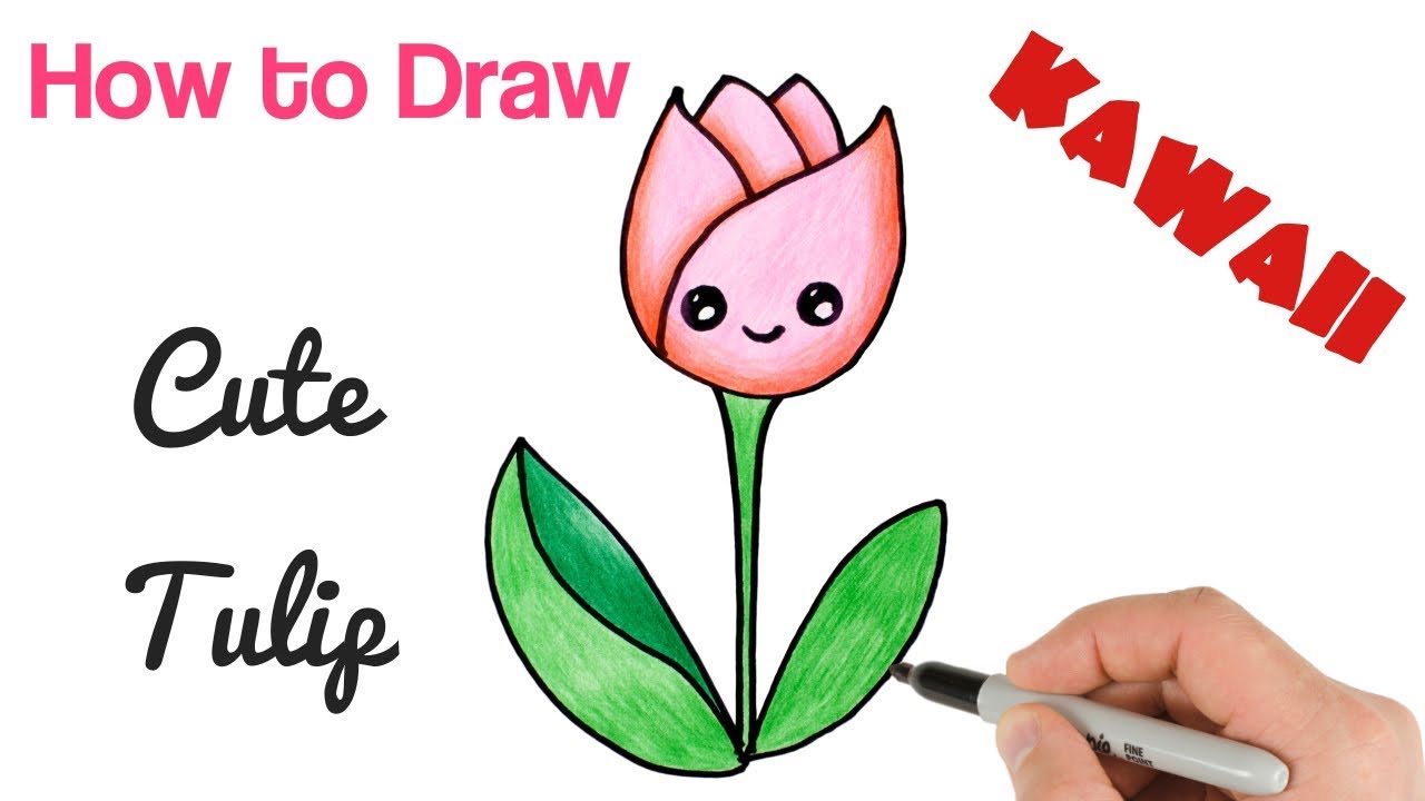 How to Draw cartoon flower tulip cute and easy