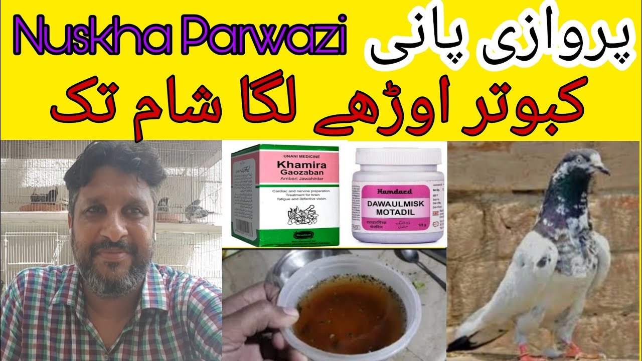 Nuskha 🎁Parwazi Pani|tips