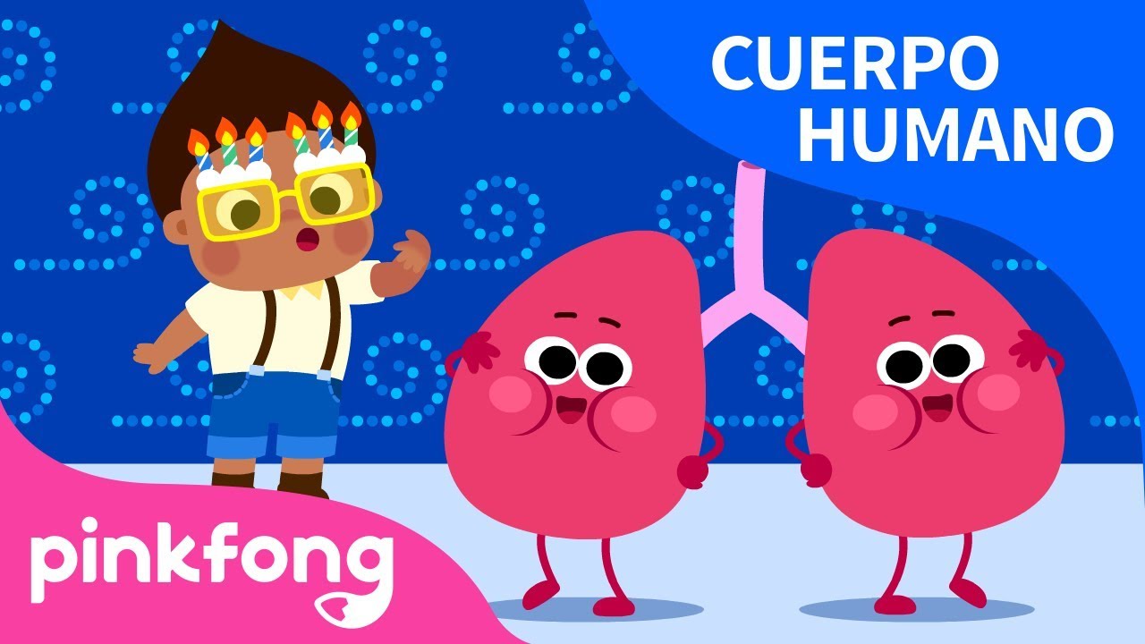 Pulmones | Cuerpo Humano | Pinkfong Canciones Infantiles