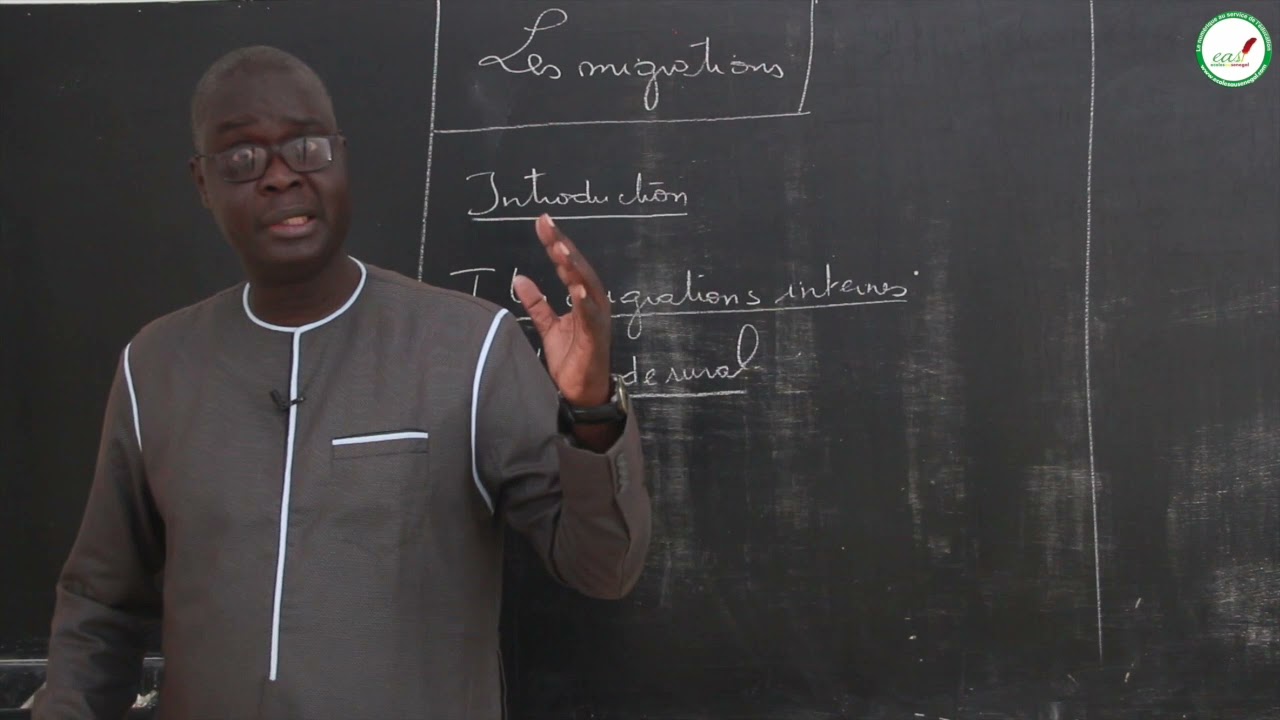 Cours - Première - HG: les migrations / M. Seck