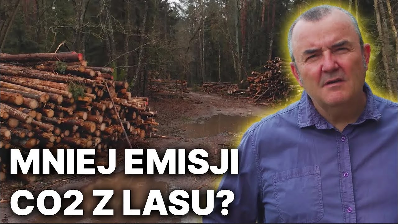 Jak zniwelować emisję CO2 zanim wyrosną nowe drzewa? - prof. UPP Bogdan Chojnicki i inni, WIŚiIM UPP