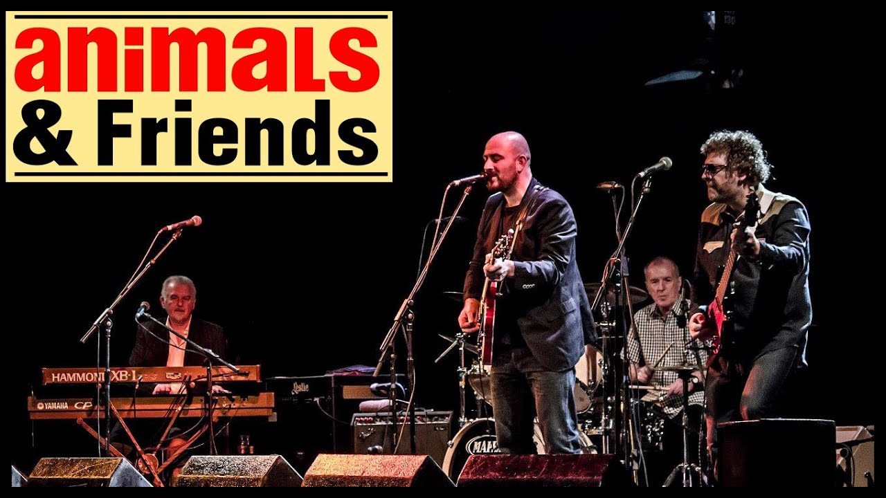 Animals & Friends (Ft John Steel & Mickey Gallagher) Promo Video December 2014