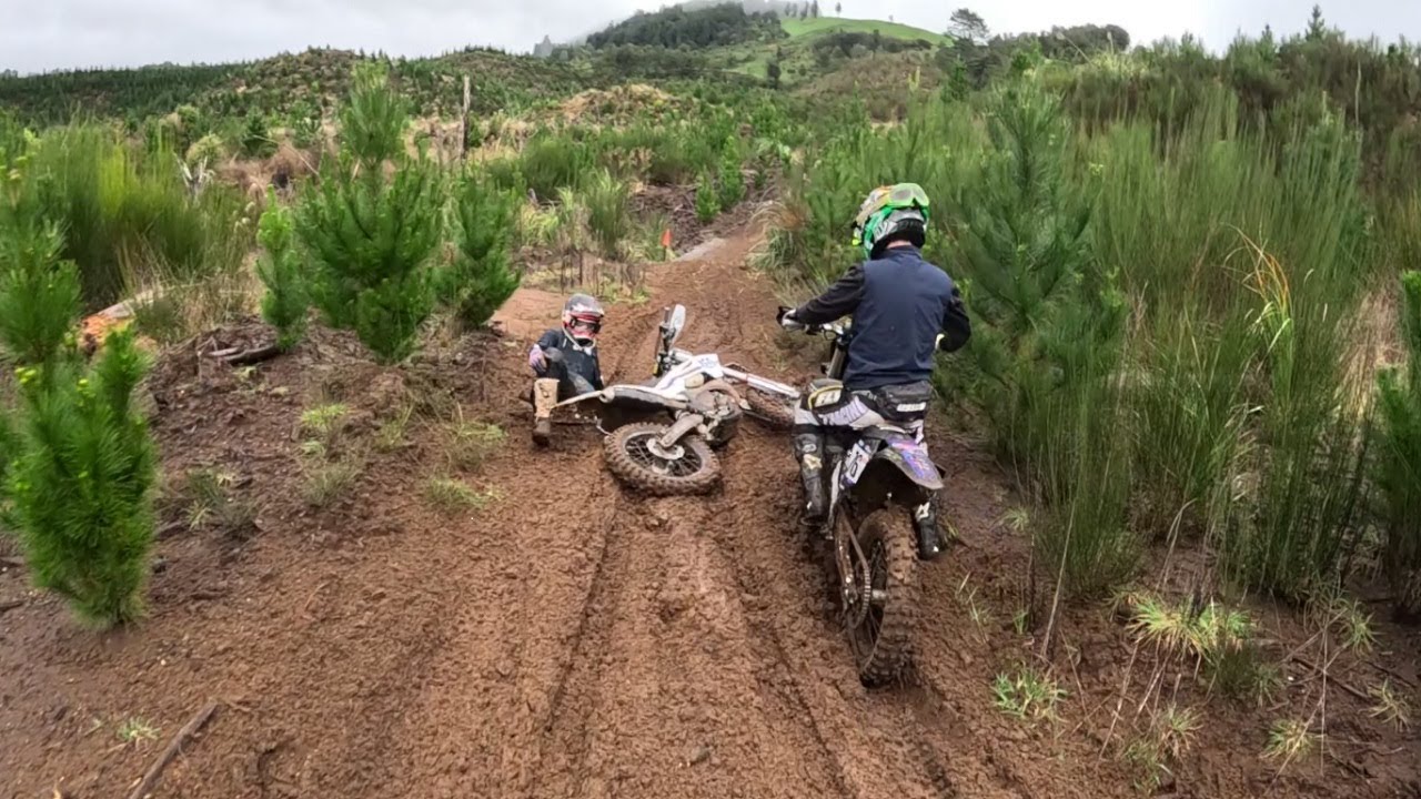 NCES RD:2 Triumph TF450-E