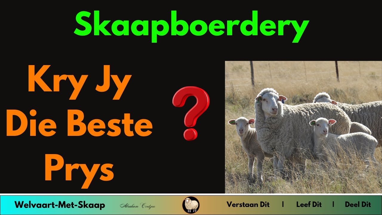 WMS - Hoe om jou skaapboerdery produkte slimmer, beter en meer effektief te bemark.
