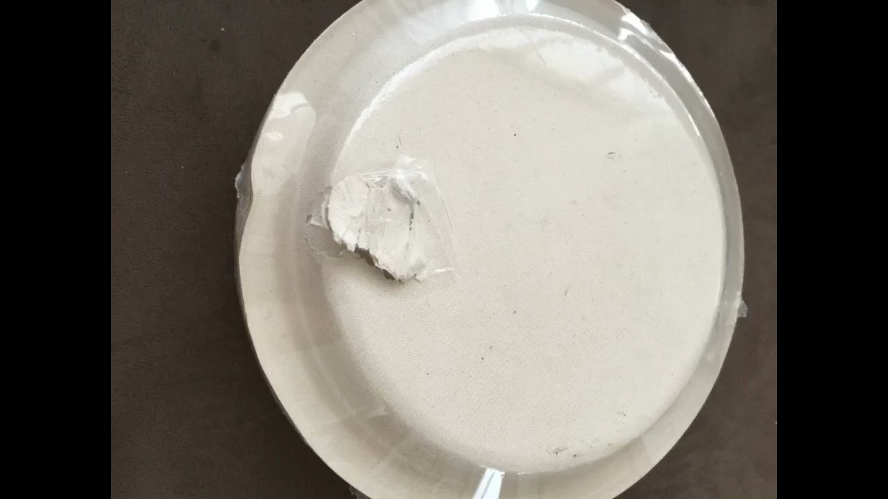 100% Compostable Disposable Paper Plates Bulk [9